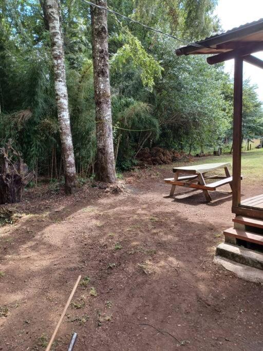 Del Volcan Lican Ray